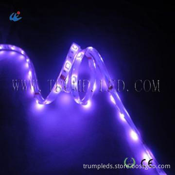 Flexible DC12V waterproof smd 3528 RGB led strips hong kong